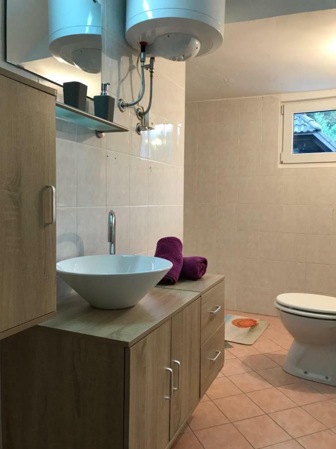 Apartma Eva&Matic ครานสกา โกรา ภายนอก รูปภาพ